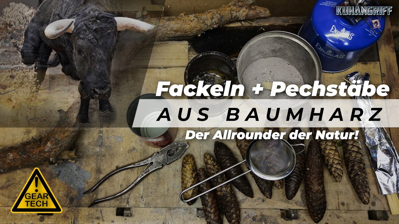 Fackeln und Pechstäbe aus Baumharz | Natürlicher Klebstoff | Kuhangriff