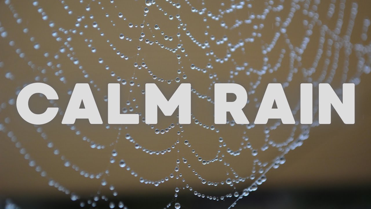 Calm Rain Ambient Music for Relaxation &mdash; 2 Hours
