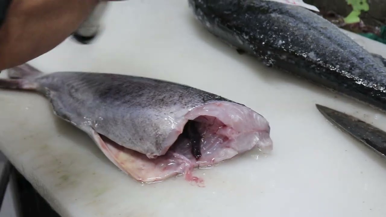 メダイを捌く！