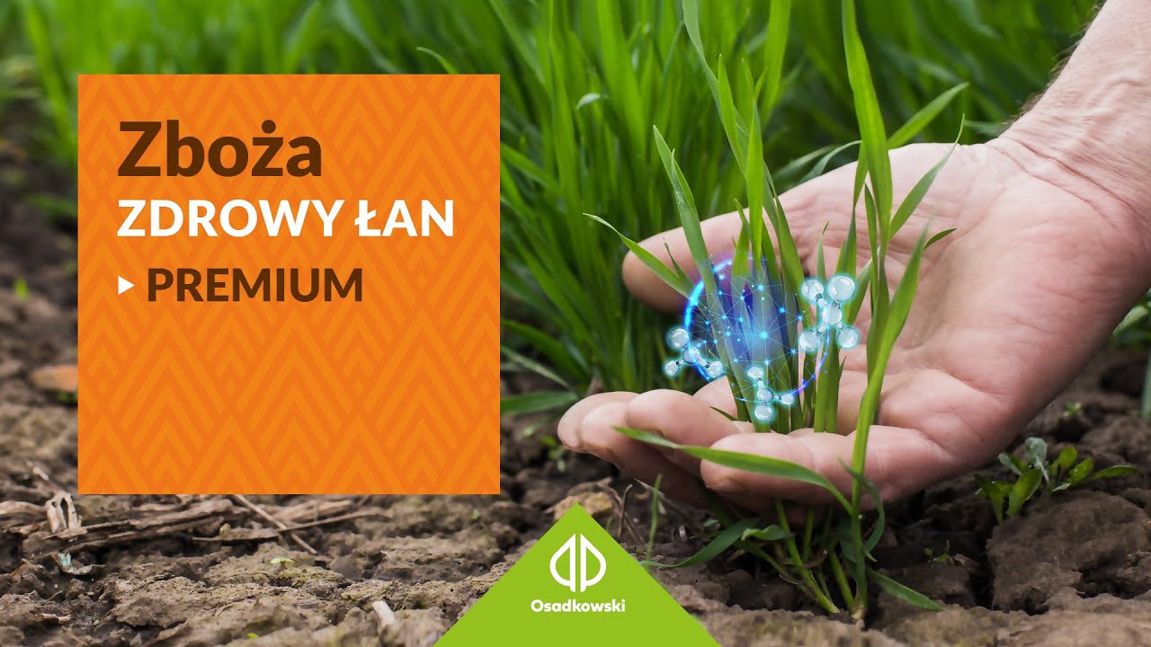 🌾 |  Technologia ochrony i prowadzenia zb&oacute;ż - Zdrowy Łan PREMIUM