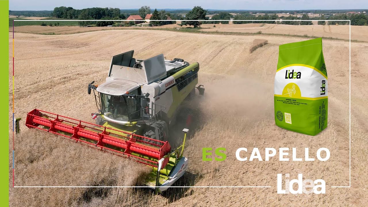 Żniwa ES CAPELLO | G.R. Cichocki | LIDEA
