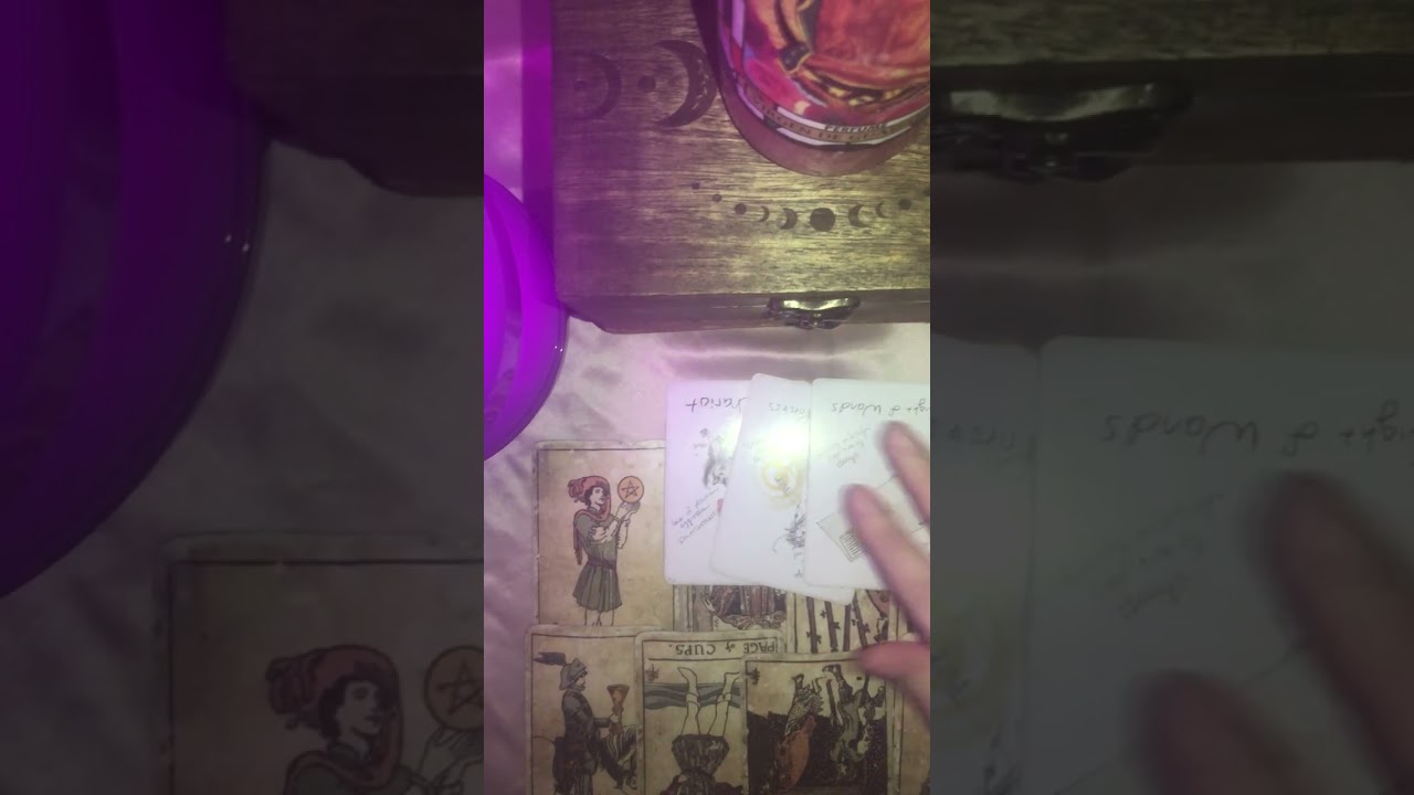 ТЕЛЕЦ ДЕВА КОЗЕРОГ: БЕЗ КОНТАКТА