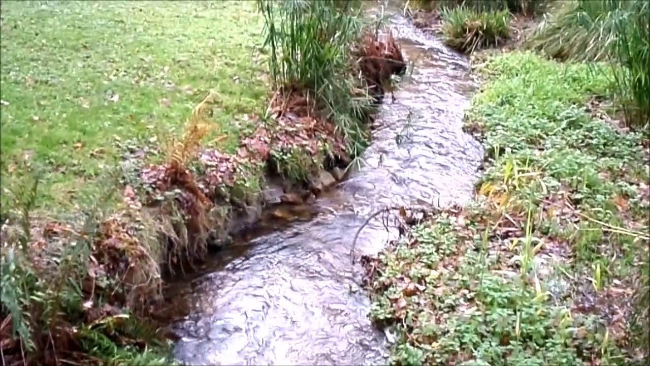 PARC de KERBIHAN   HENNEBONT 56