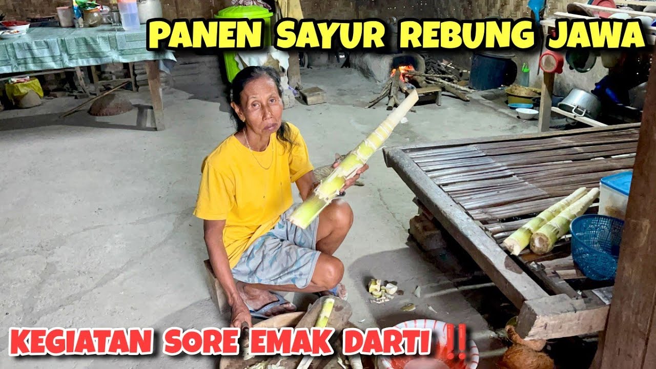 Emak Darti panen sayur rebung ‼️ Kegiatan sore keluarga ALDIVO & MBOK GENUK