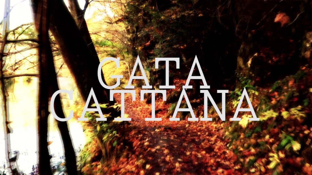 GATA CATTANA - EFEM&Eacute;RIDES