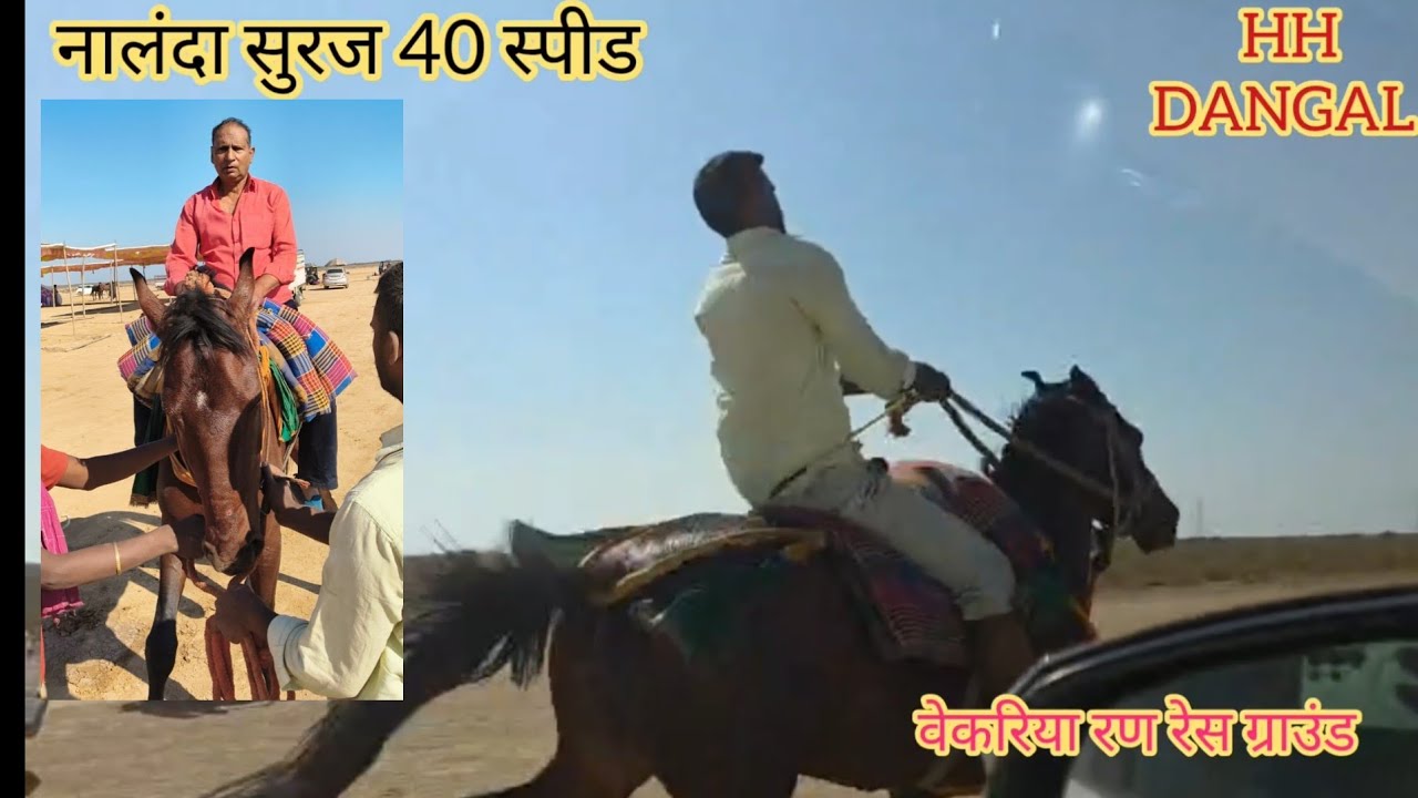 वेकरिया रण रेस में पहुंचा 40 चलने वाला बिहार से दो दांत का नालंदा सुरज मालिक_ अरुण सिंह जी.....