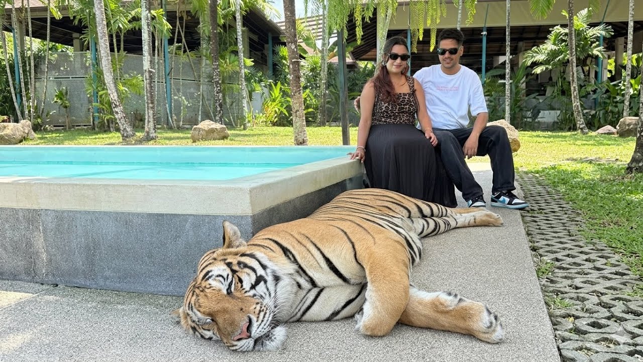 TIGER KO FIRST TIME SAAMNE SE DEKHA 🐅 