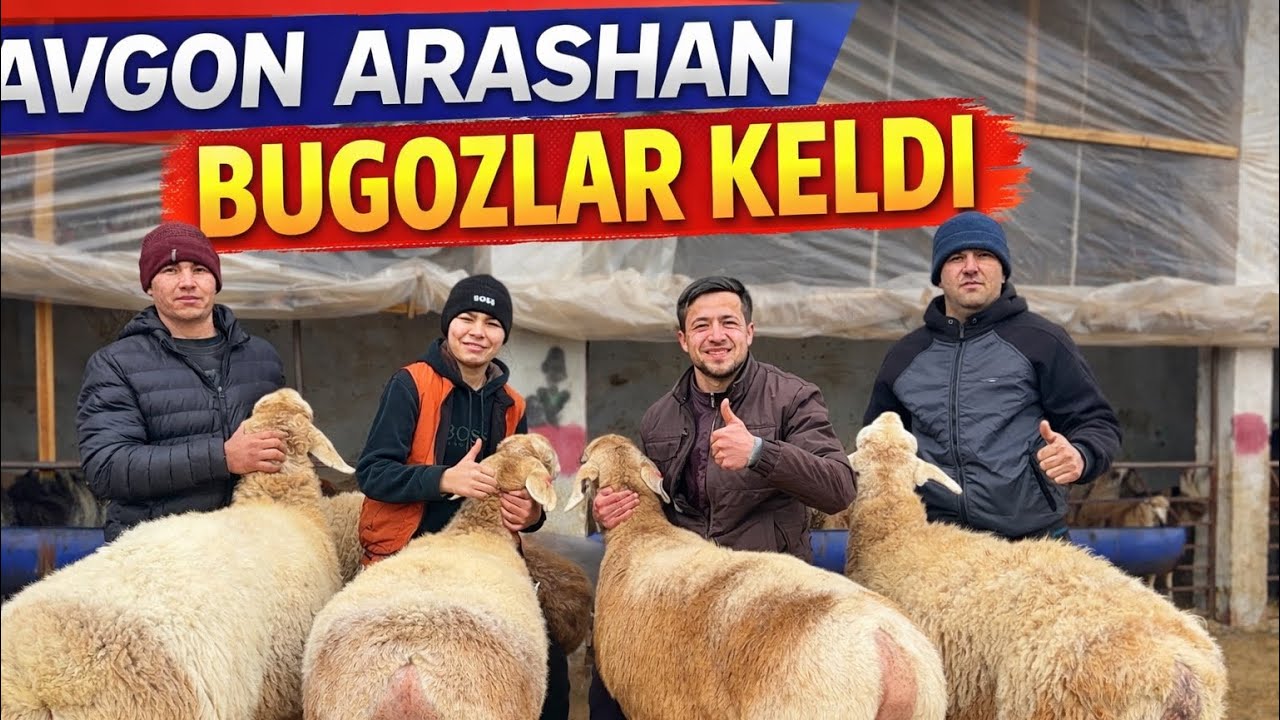 EGIZAK VA BUGIZ JUDA KATTA SOVLUQLAR KELDI SHOSHILING 💥