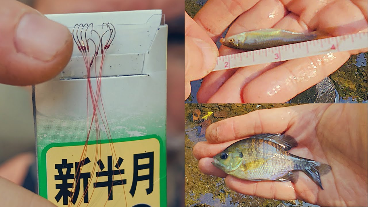 ASMR Microfishing - Catching Tiny Fish with Tiny Hooks