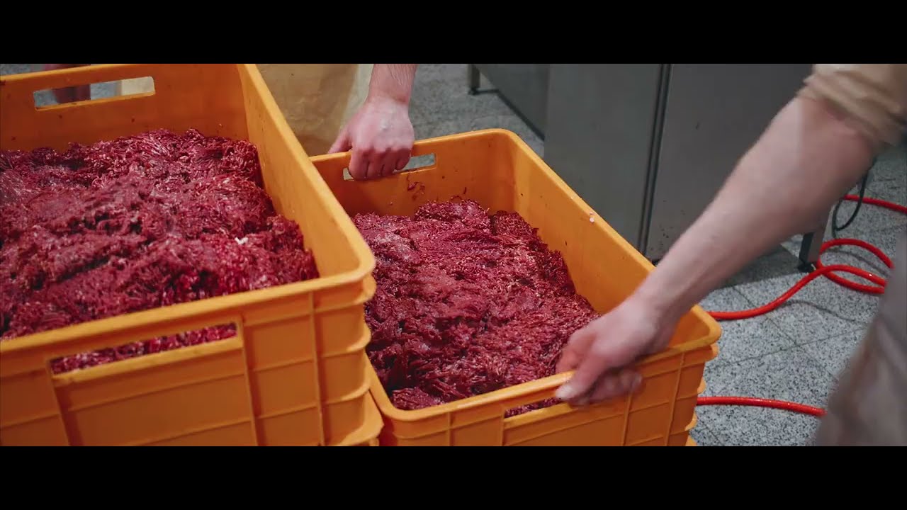 How chorizo sausage made in factory
