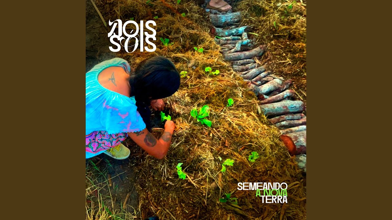 Força da Onça Pintada