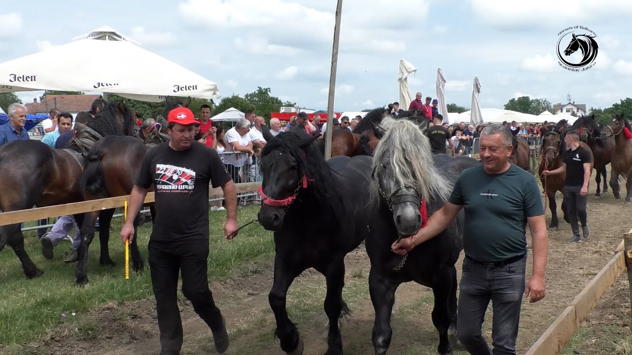 -DEFILE UČESNIKA   XIV ŠTRAPARIJADE U RUMI -