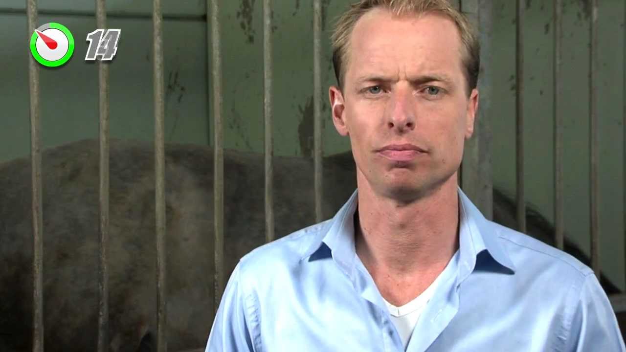 Magnesiumtekort | Paard | 100 Seconden Dierenarts