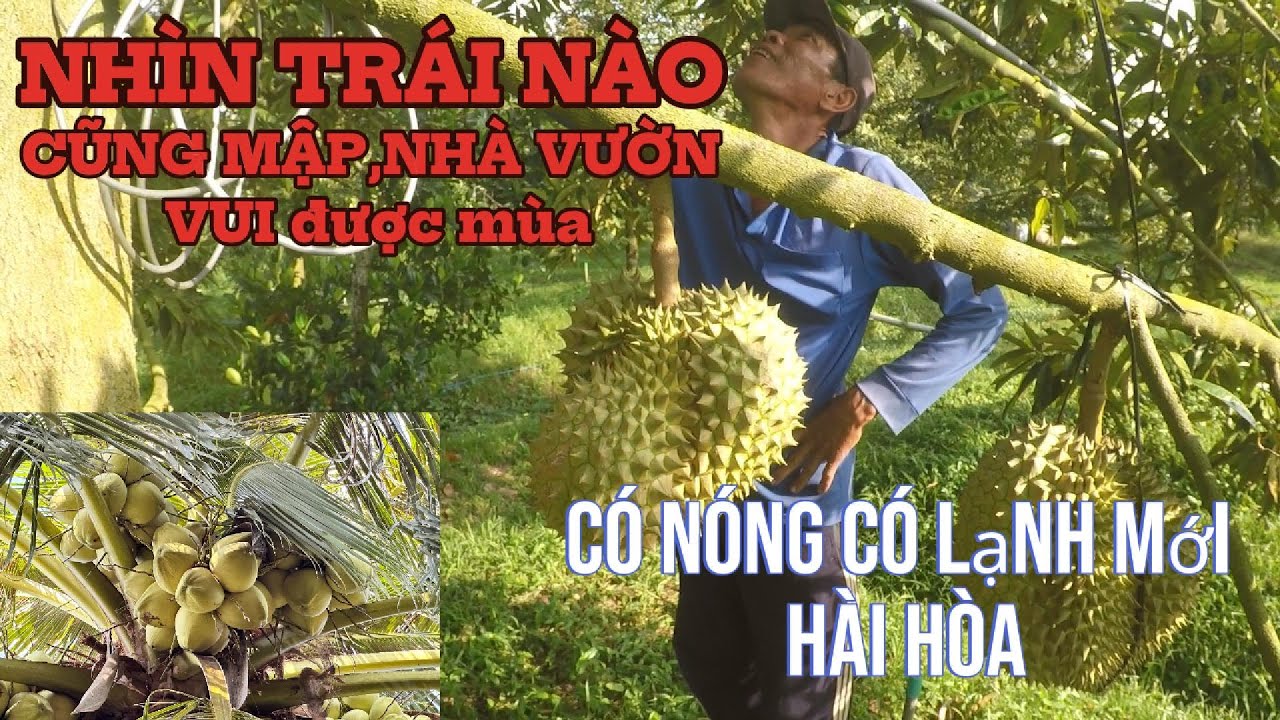 Làm Vườn Chỉ Trong Ngày Này,Công Sức Bao Nhiêu Tháng Nằm Ở Đây#lamvanthua official#