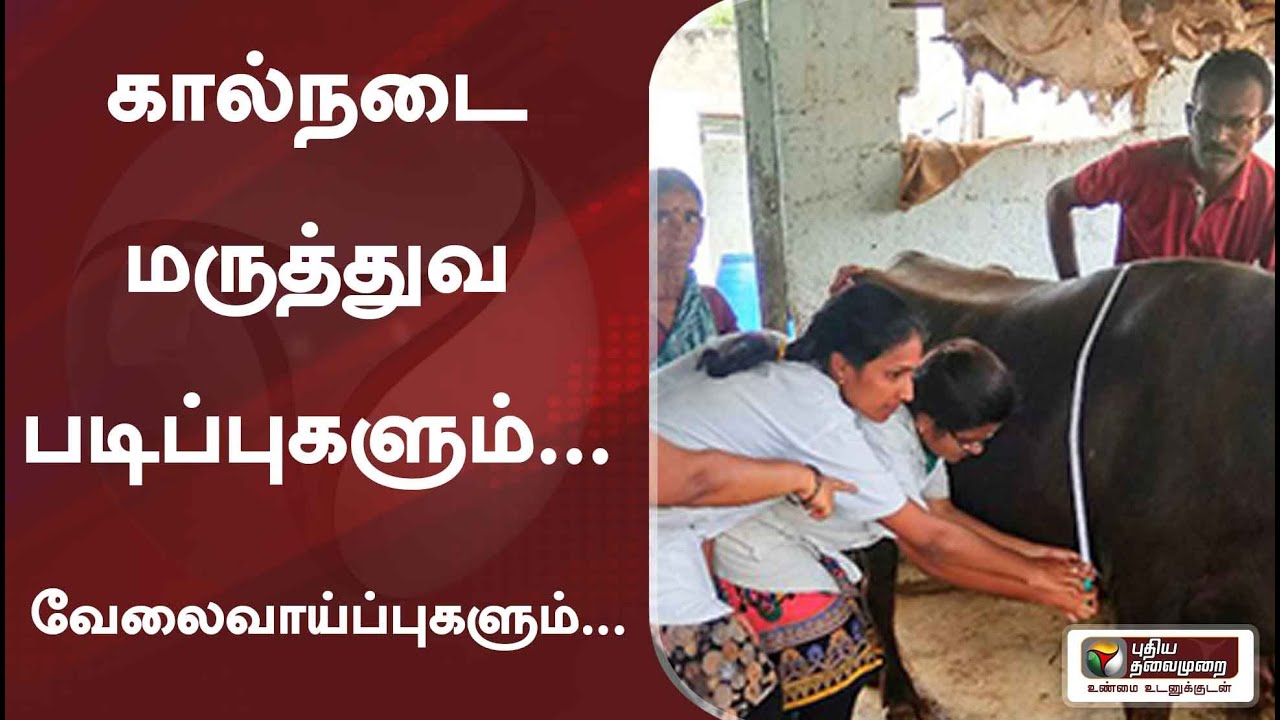 கற்க கசடற: கால்நடை மருத்துவ படிப்புகளும்... வேலைவாய்ப்புகளும்... | Karka Kasadara