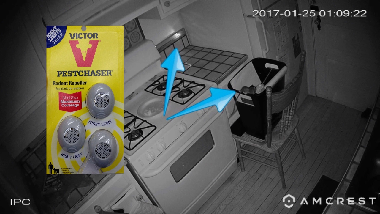 Victor Pestchaser Rodent Outlet | Do Rodent Outlets Work?
