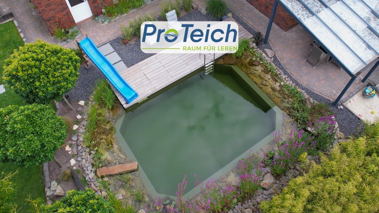 Glasklarer Familien Schwimmteich - Inspiration im eigenen Garten - ProTeich