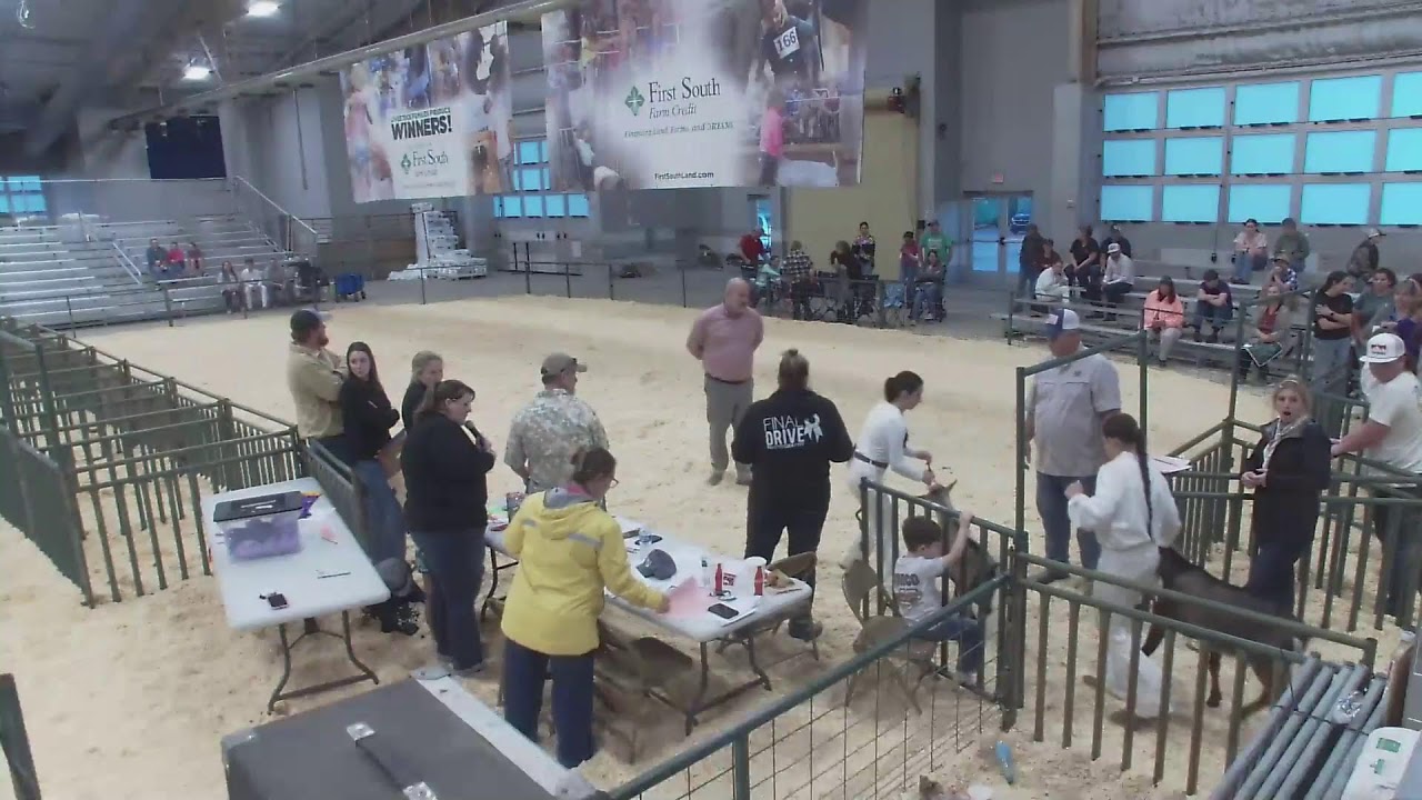 Dairy Goat Breeding and Supreme Drive