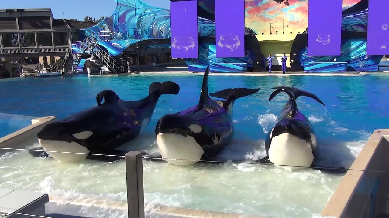 SeaWorld San Diego | 2015 | One Ocean - Front Row | Full Show