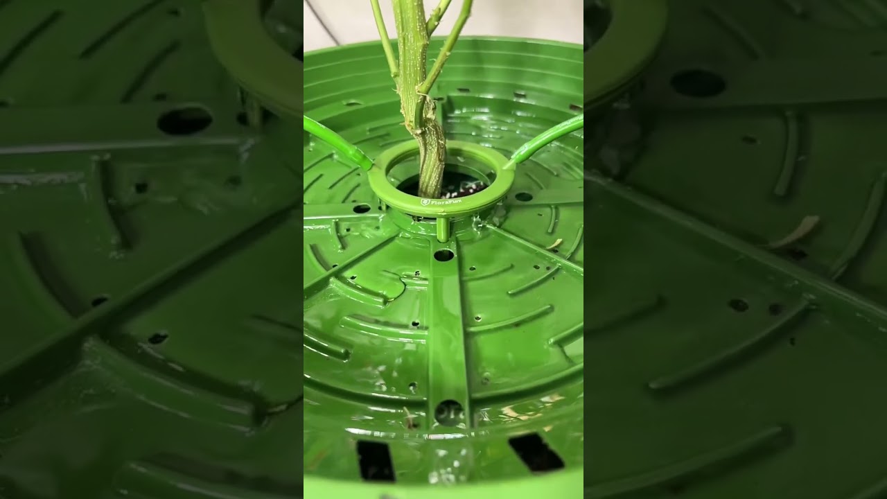 Flora flex matrix drip system