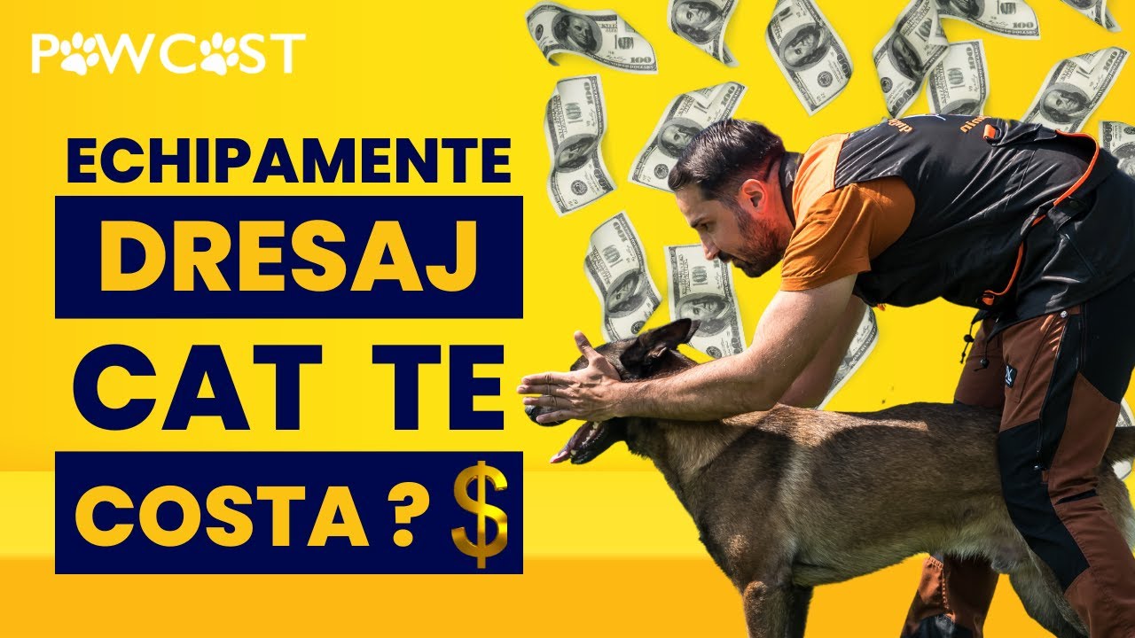 Pawcast - DRESAJ canin de TOP | Echipamente profesioniste | BUGET necesar pentru PERFORMANTA MAXIMA