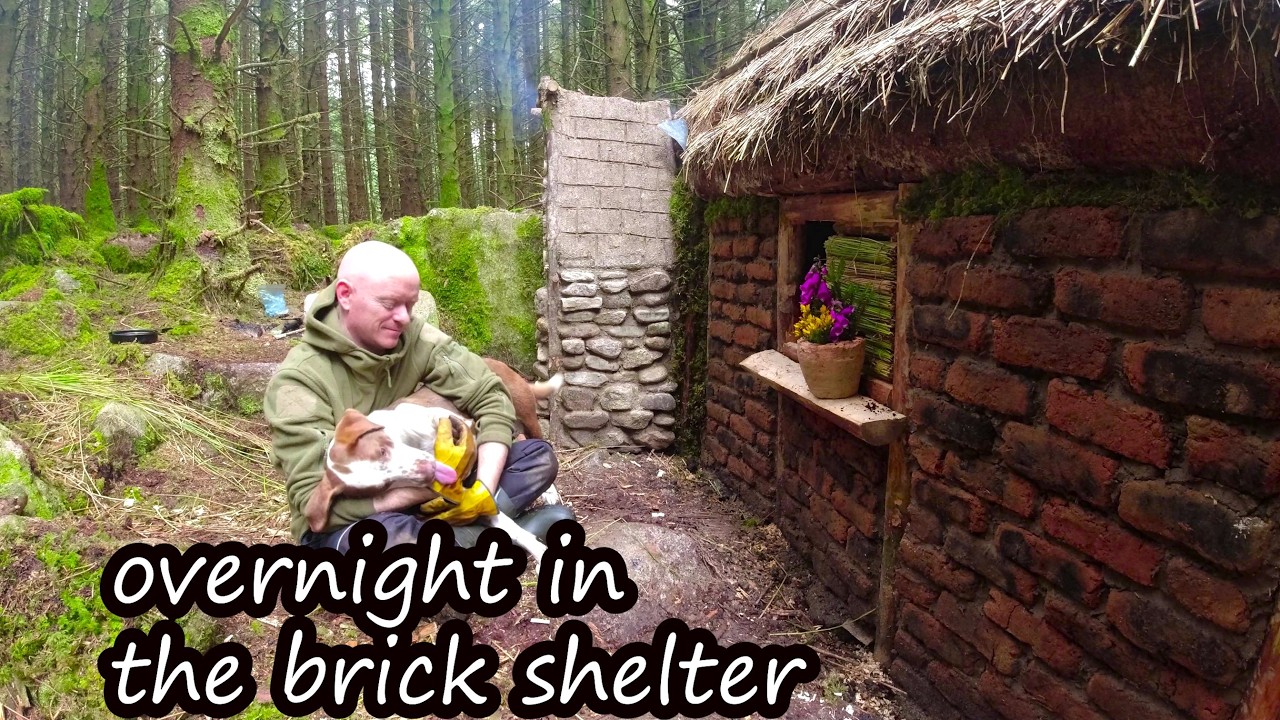 Overnight in my red brick shelter with dog