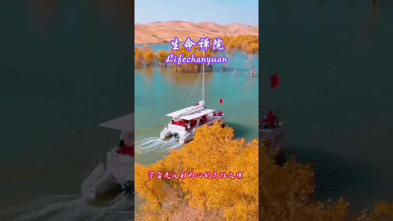 宇宙是反射内心的灵性之境 #雪峰#生命禅院#灵性人生