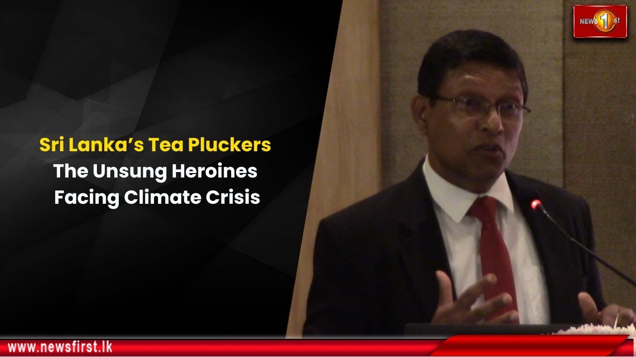 Sri Lanka&rsquo;s Tea Pluckers: The Unsung Heroines Facing Climate Crisis