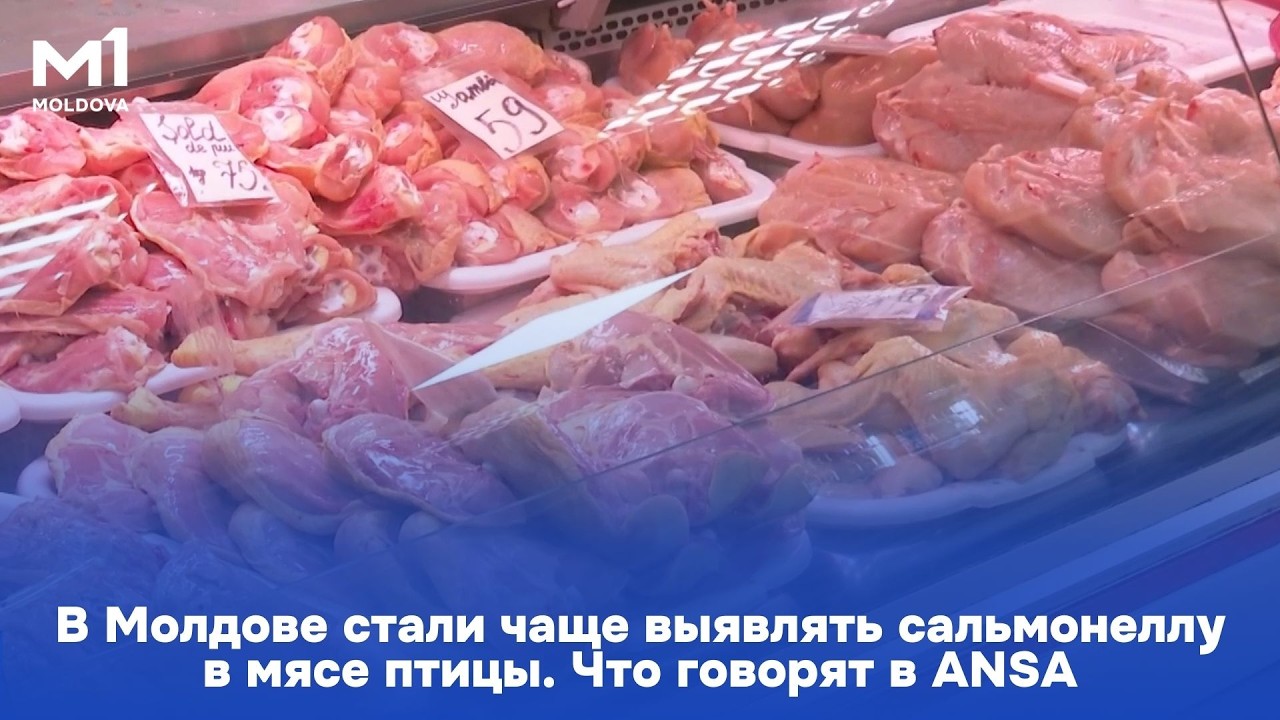 В Молдове стали чаще выявлять сальмонеллу в мясе птицы. Что говорят в ANSA