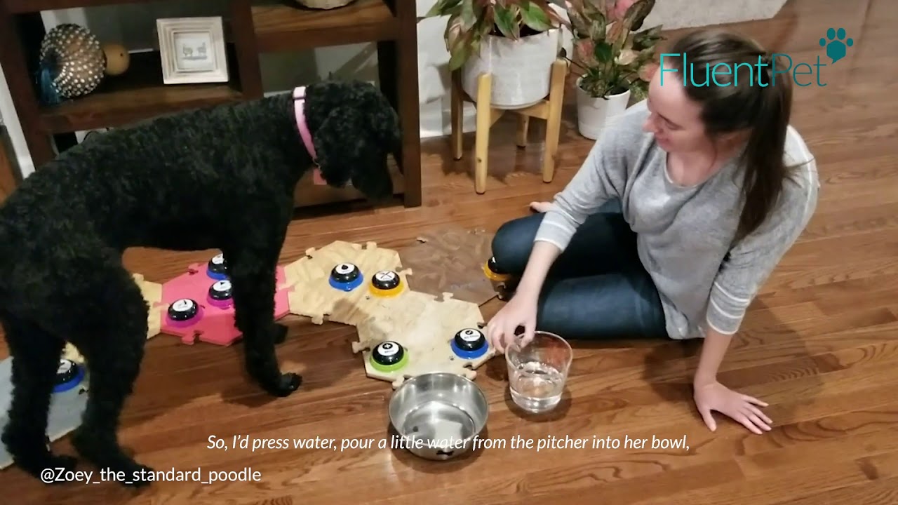 Teaching WATER | FluentPet Buttons