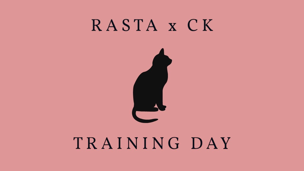 Training day - Rasta x Ck // Beat: Prone (HLM)