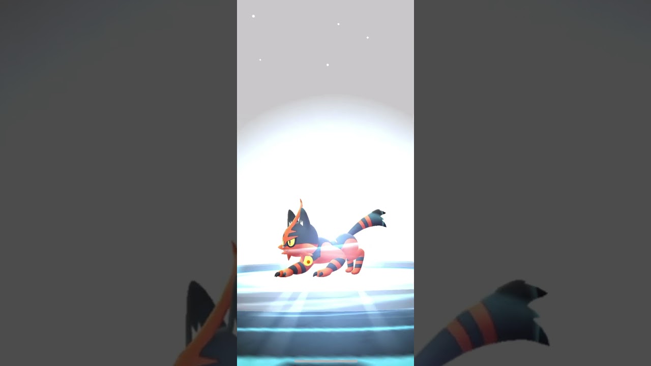 [Pokemon GO] Full Evolution Line of XXL Litten into XXL Incineroar!  #pokemongo #falloutboys #litten