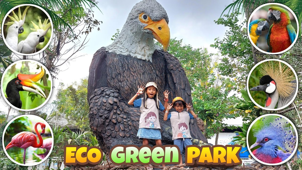 Bermain sambil Belajar mengenal Hewan di Eco Green Park | Jatim Park 2 Batu Malang