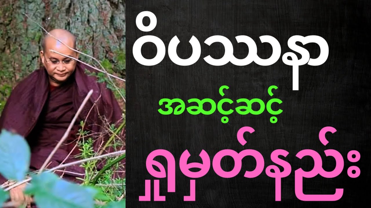 ဝိပဿနာ အဆင့်ဆင့် ရှုမှတ်နည်း