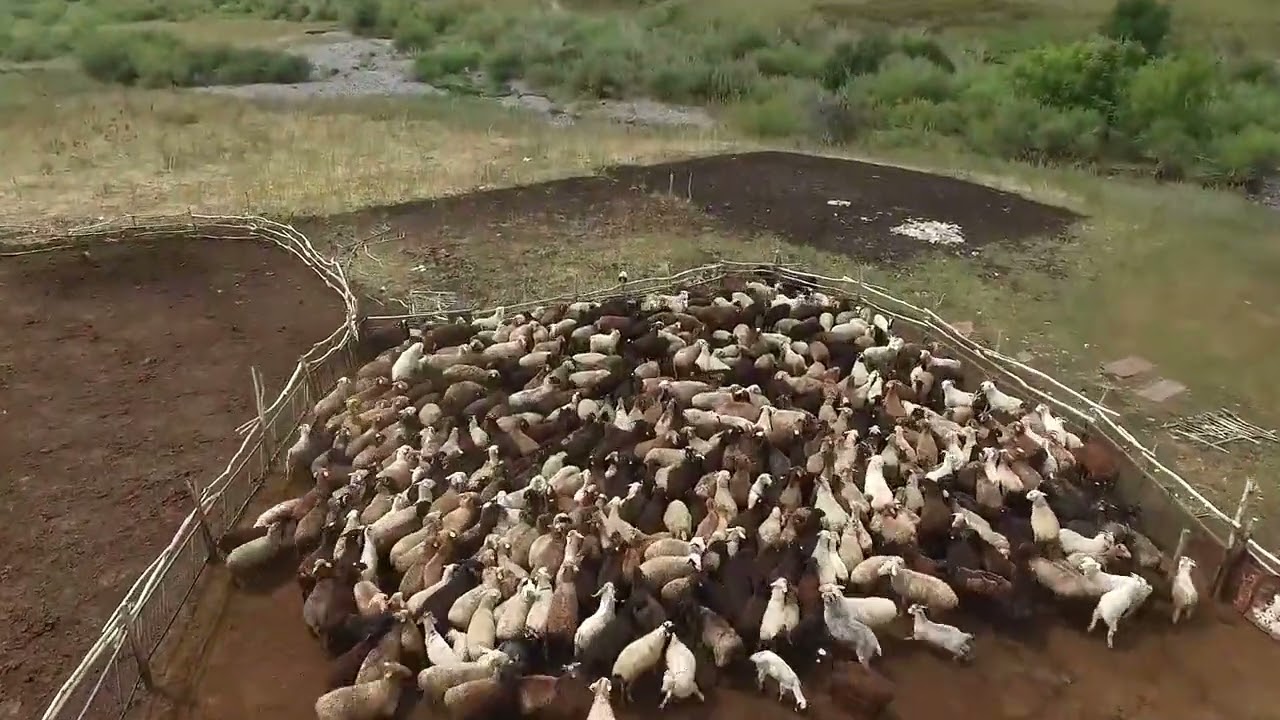 Көкөзек ауылы,село Ириновка вид с воздуха