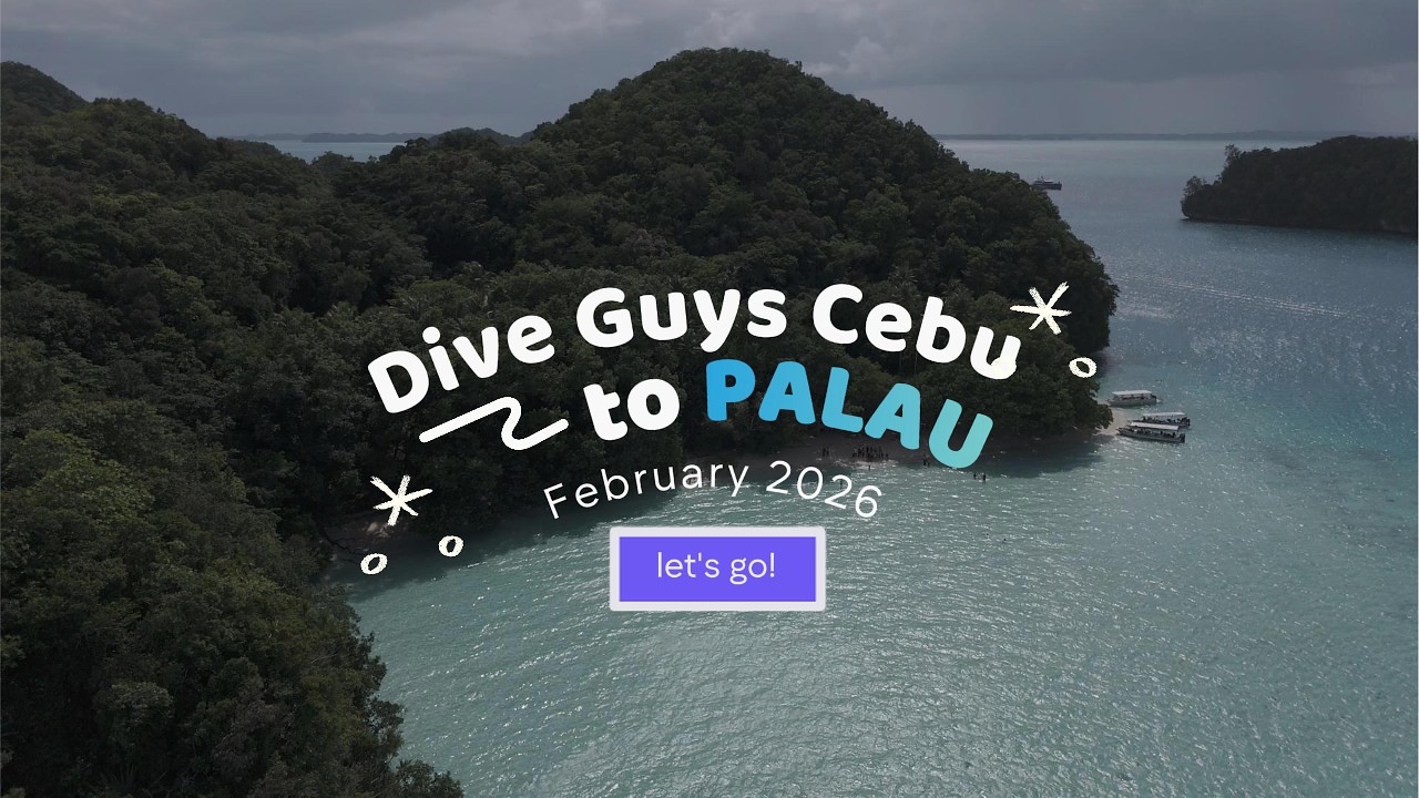 Palau Dive Trip - February 2026 (Dive Guys Cebu)