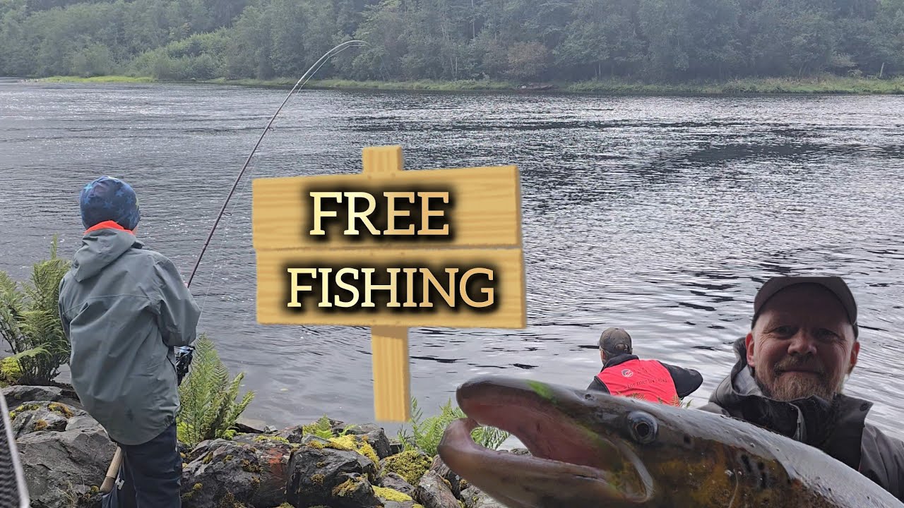 GRATIS laksefiske i Nidelva!? – Vi dro til Leirfossen!