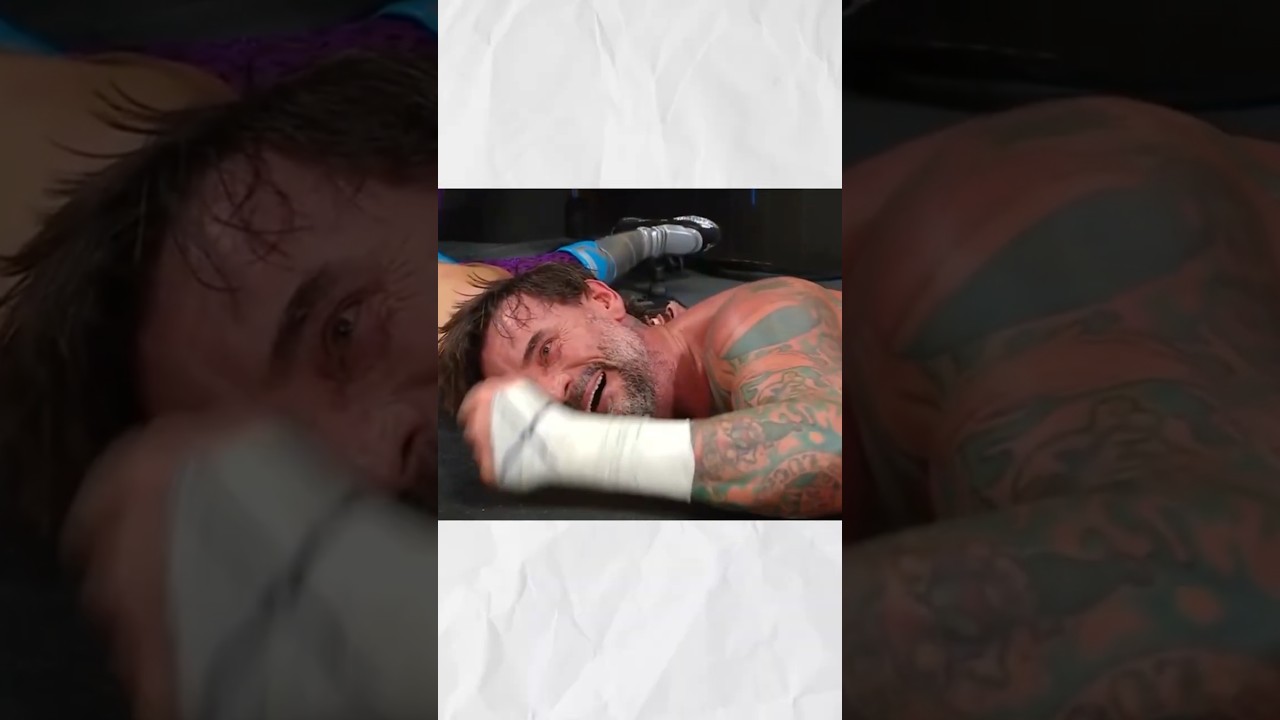 CM Punk Concern For AJ LEE In WWE