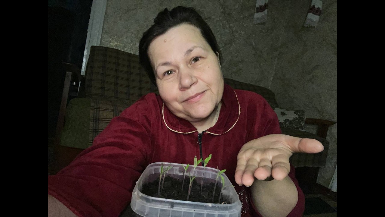 Плани коли і що буду сіяти в сезоні 2026 року. #дачнийсезон #garden #gardening #мамськібудні