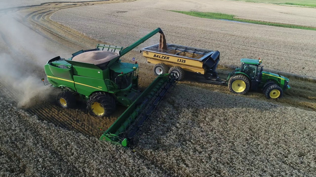 Wheat Harvest 2019