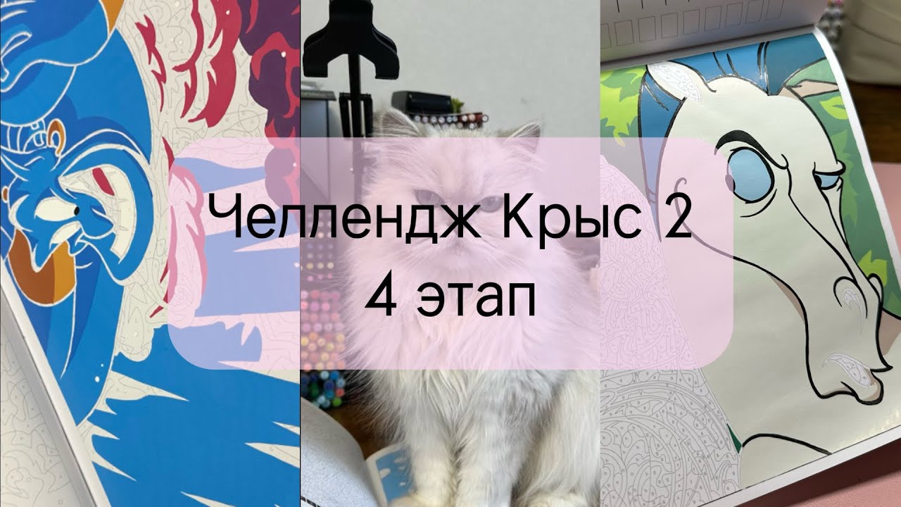 Челлендж Крыс 2 - Город любви | 4 этап