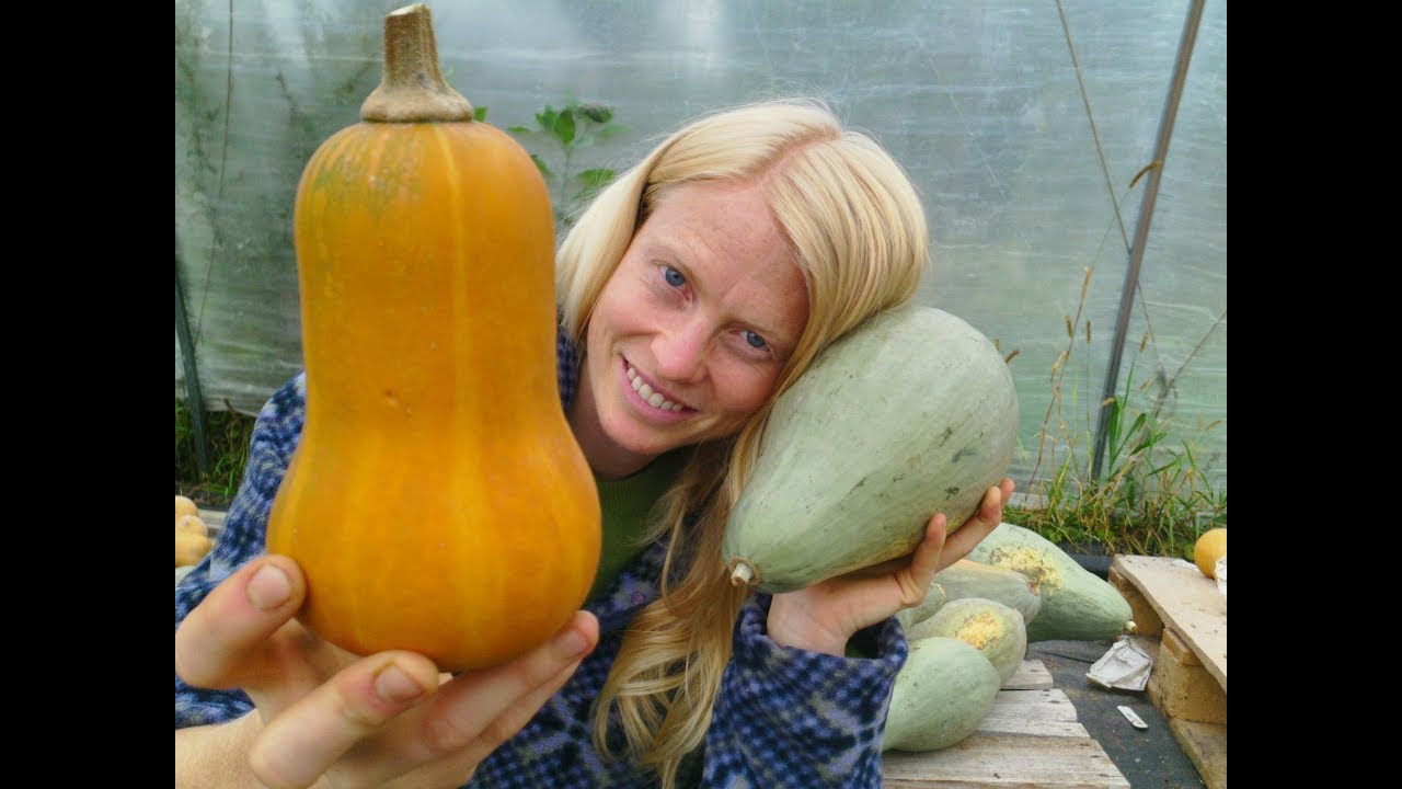 Winter Squash: When to Harvest & How to Cure