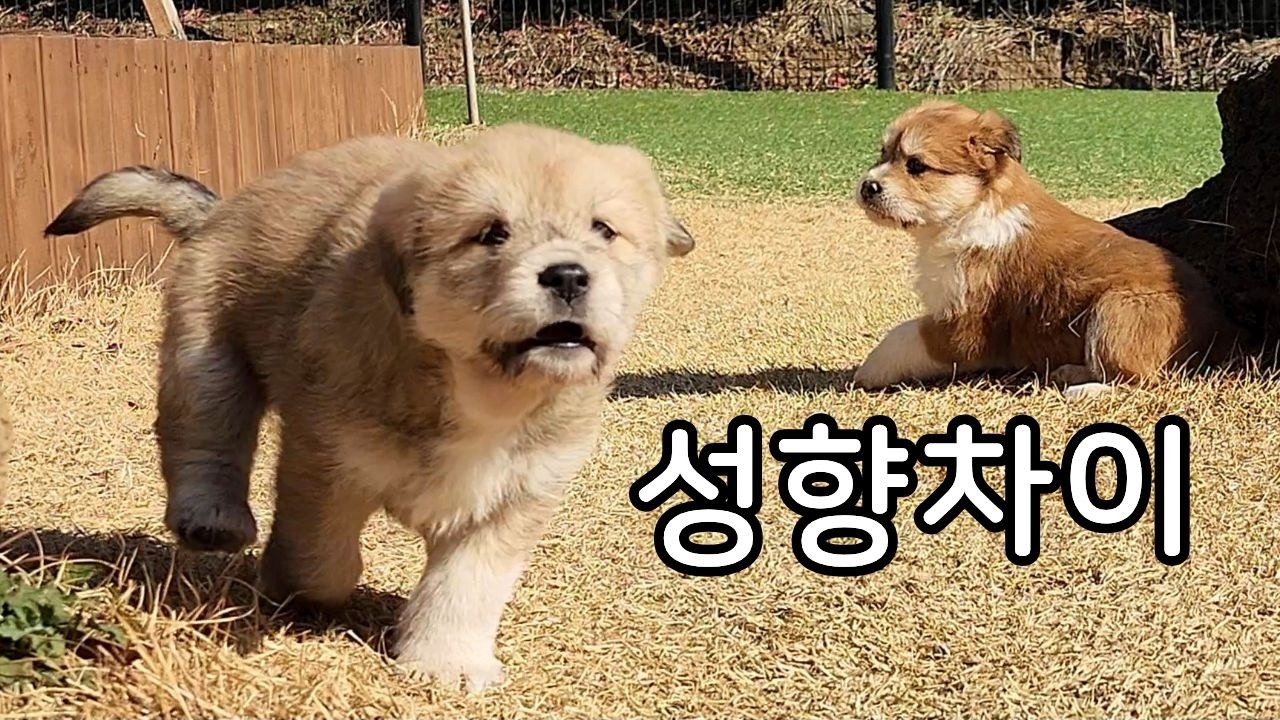 아리E & 뜨리I