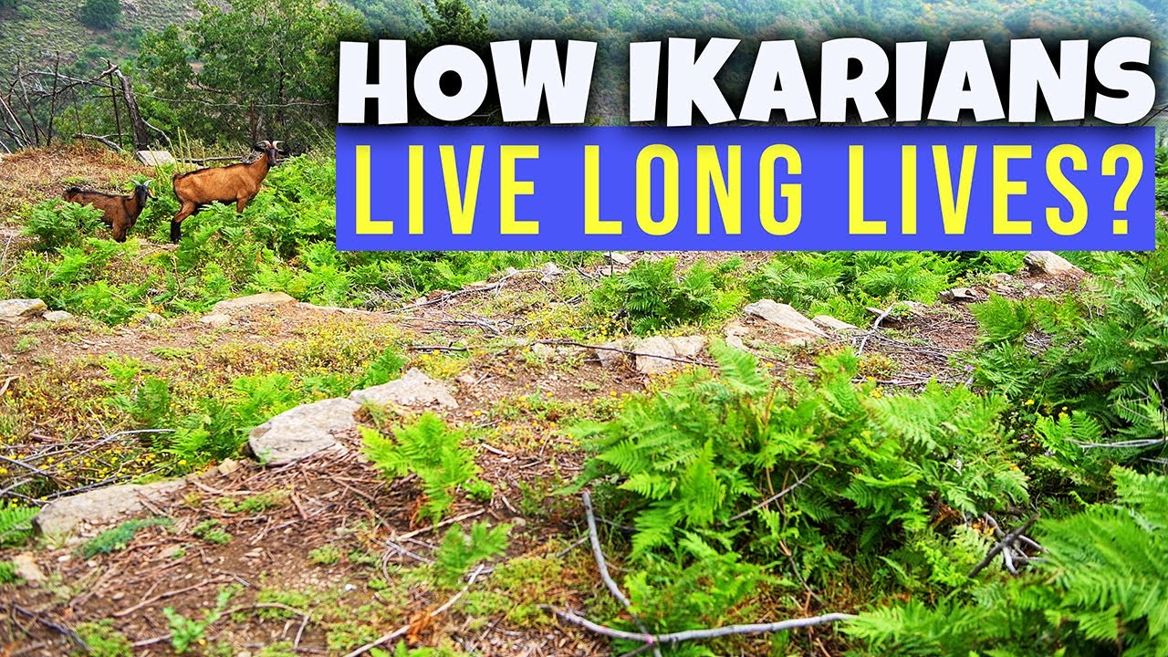 The Truth on Longevity Blue Zone Island of Ikaria, Greece