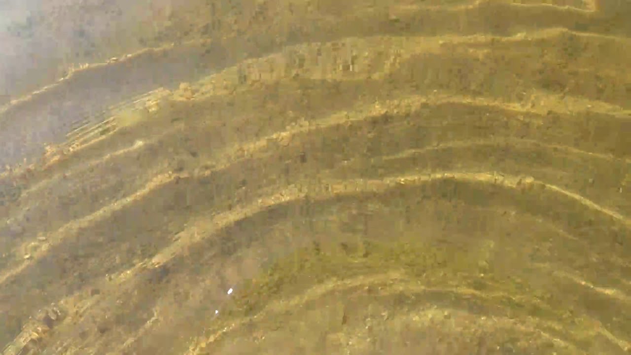 VID 20190805