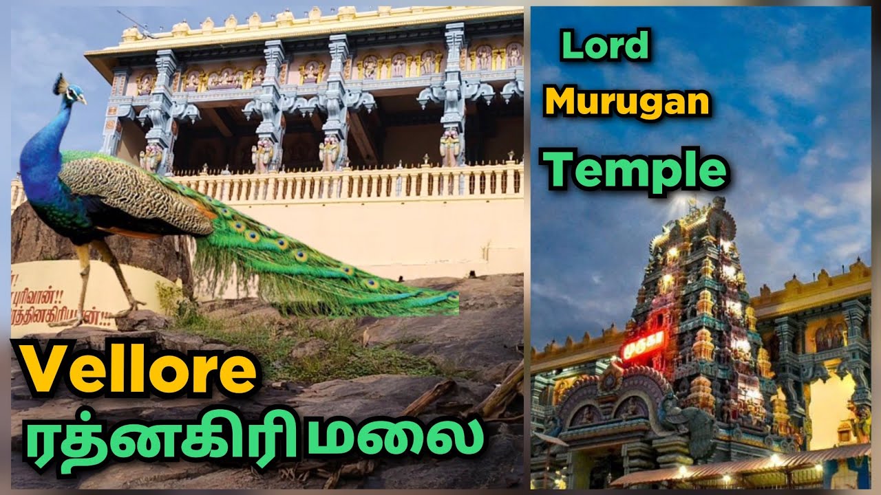🚩ரத்னகிரி முருகன் கோயில்,வேலூர் 👉🏼Ratnagiri Murugan Temple - Vellore/Multi master