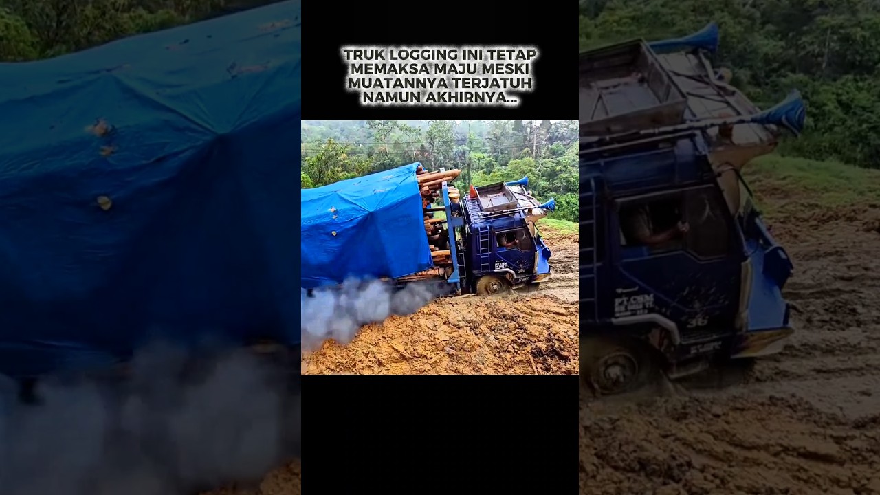 Truk Logging Memaksa Nanjak di Jalan Extreme #truk #shorts #shortviral