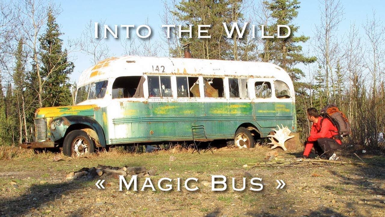 INTO THE WILD 