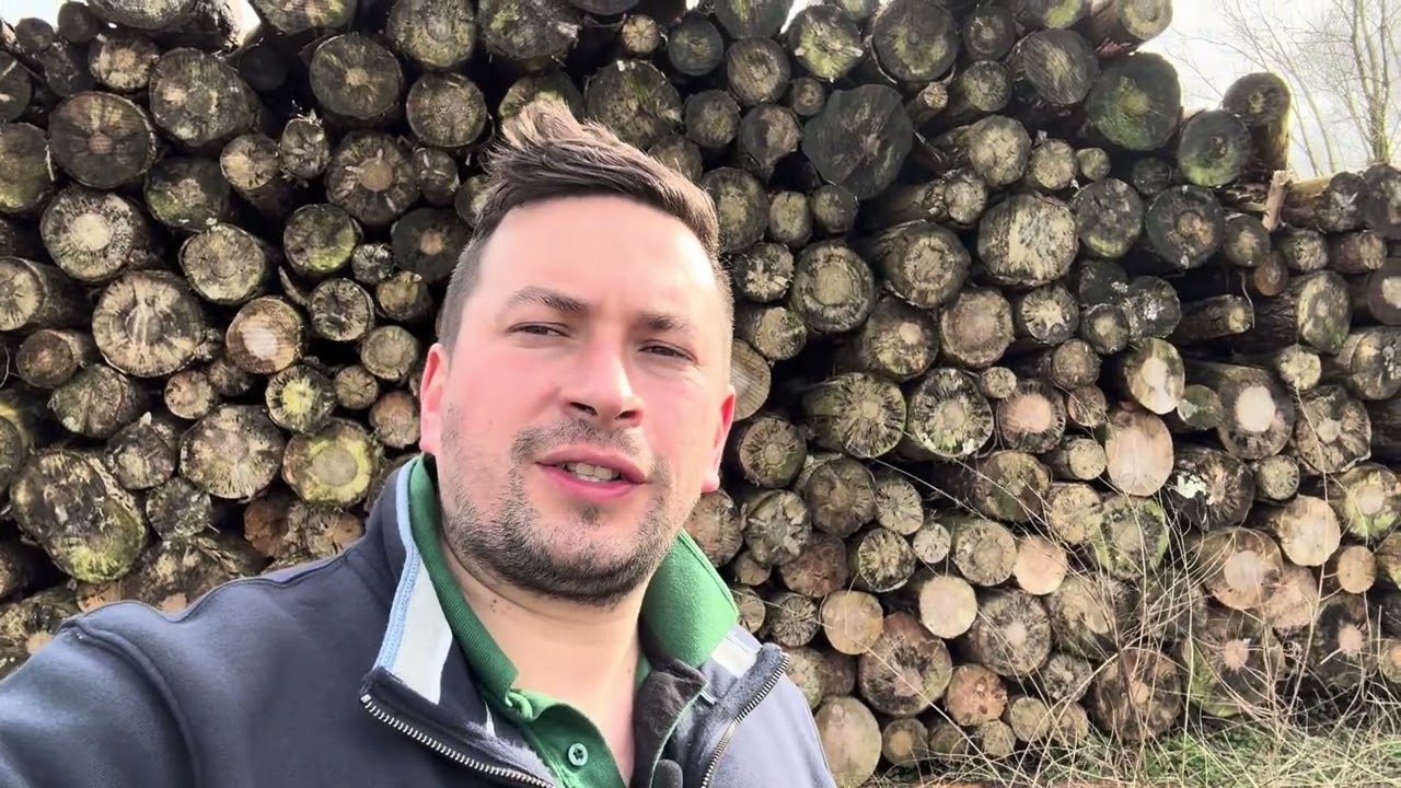 From woodland to warmth