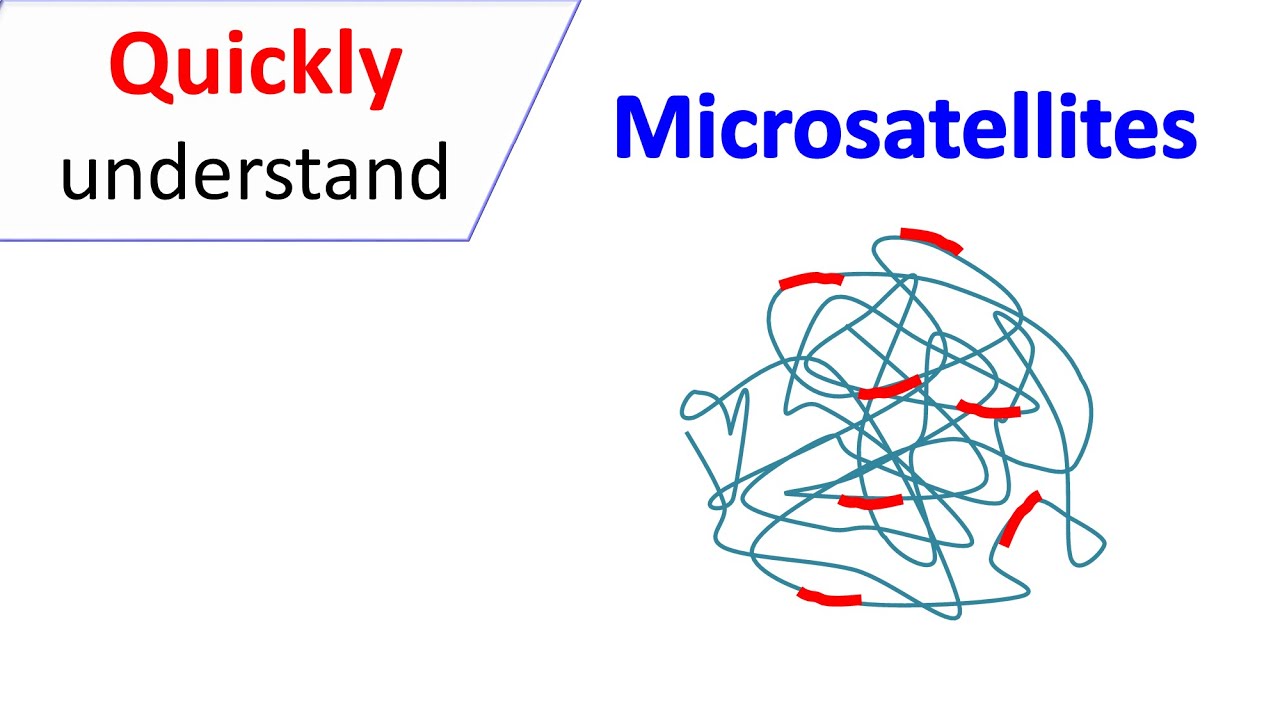 Microsatellites